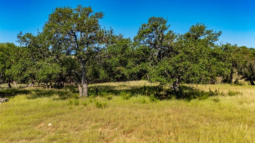 7.52 acres in Gillespie County featured view