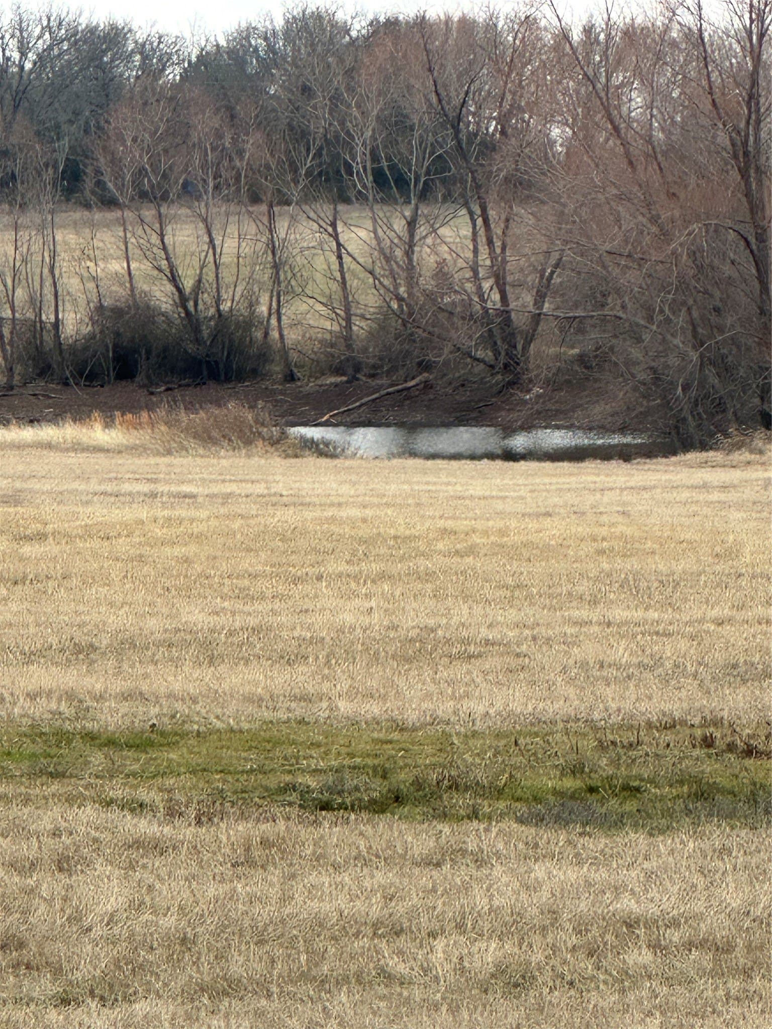 41 acres in Wise County - photo 2