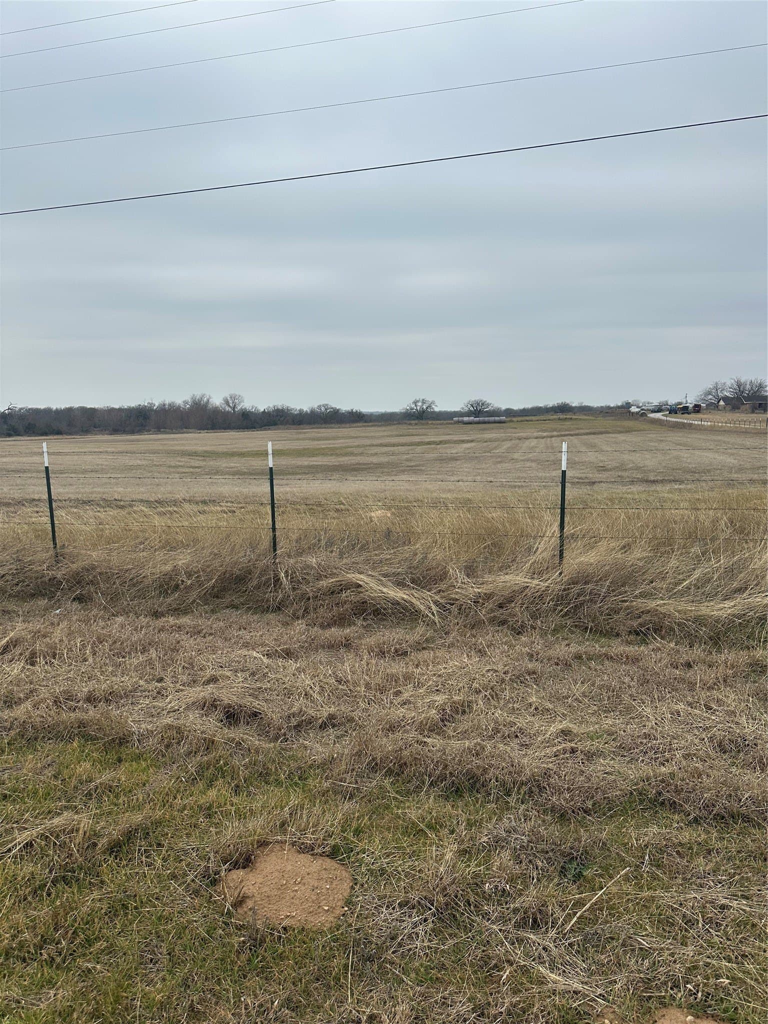 41 acres in Wise County - photo 3