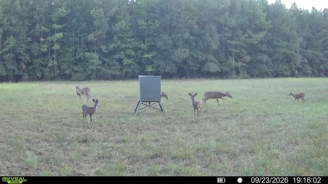 17.52 acres in Rusk County - photo 36