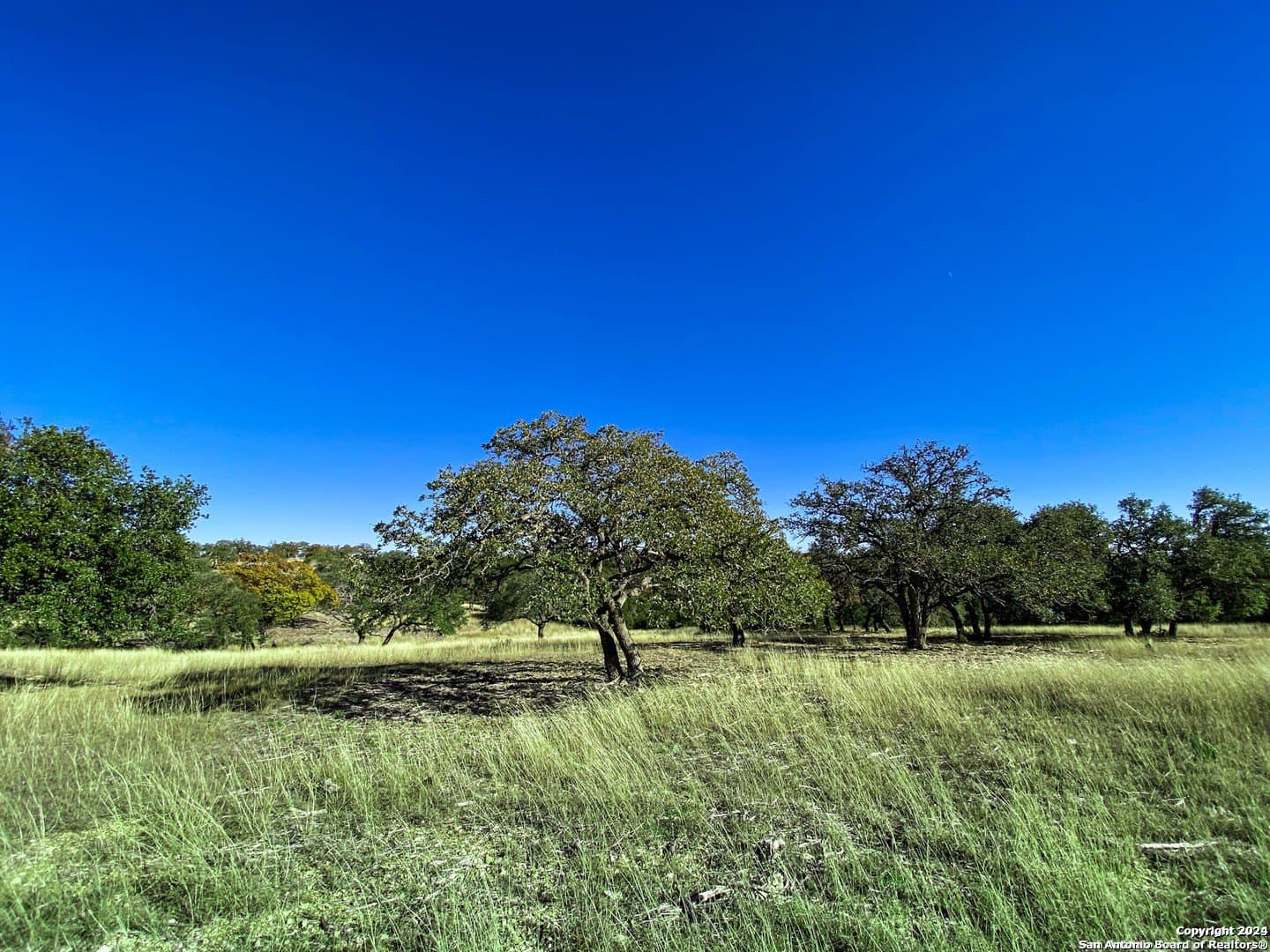 4.08 acres in Gillespie County - photo 11
