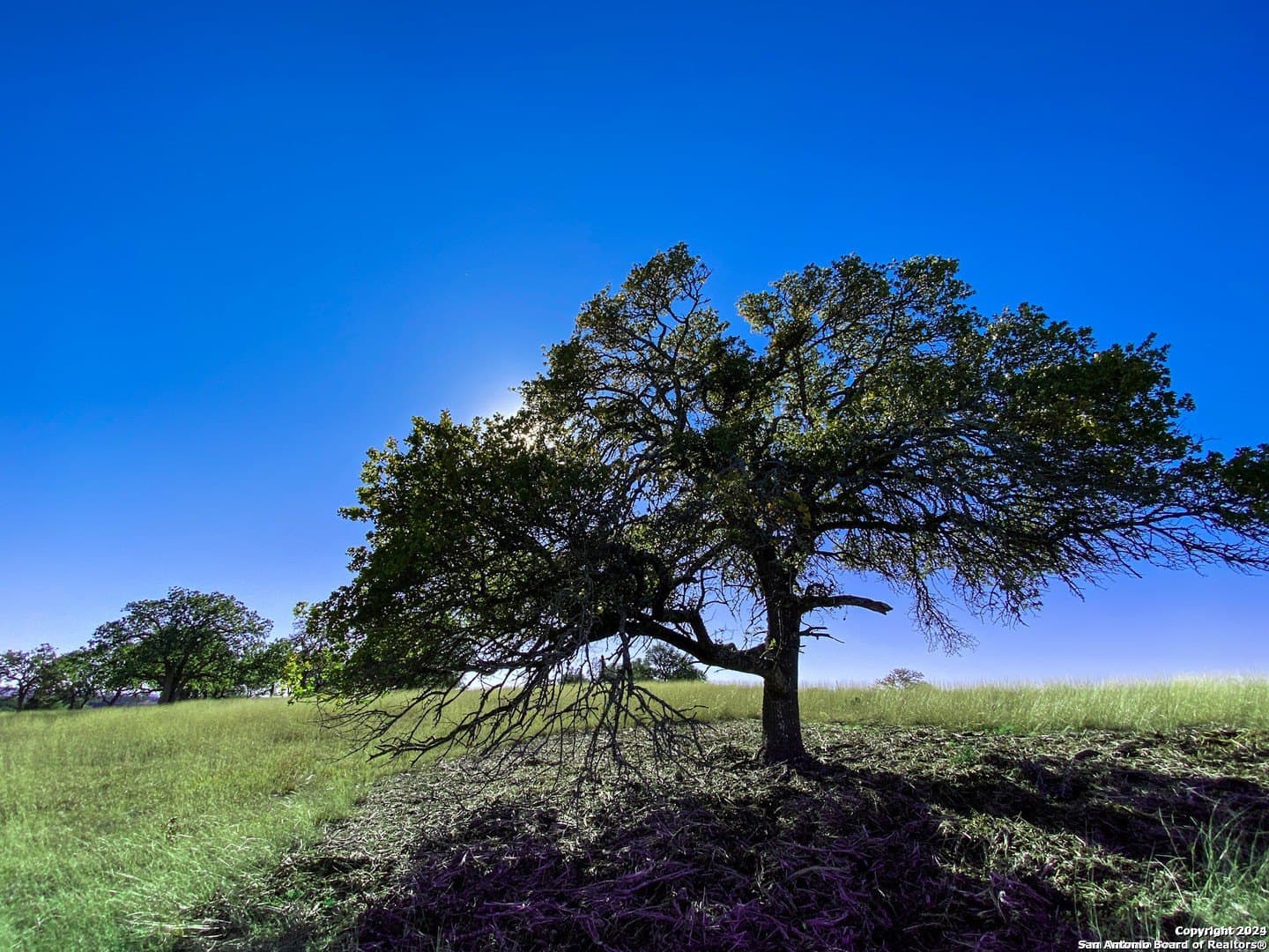 4.08 acres in Gillespie County - photo 12