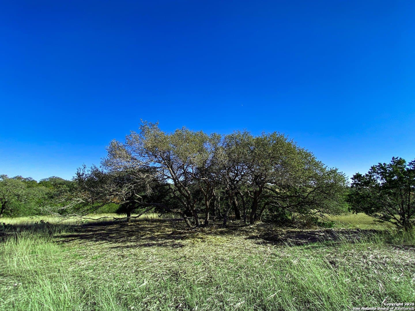 4.08 acres in Gillespie County - photo 6