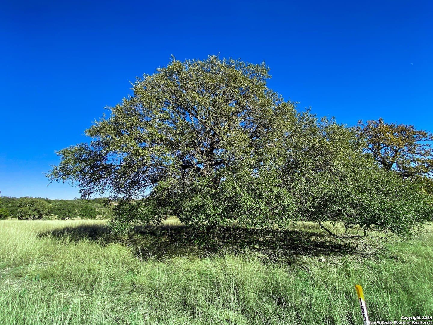 4.08 acres in Gillespie County gallery image 3