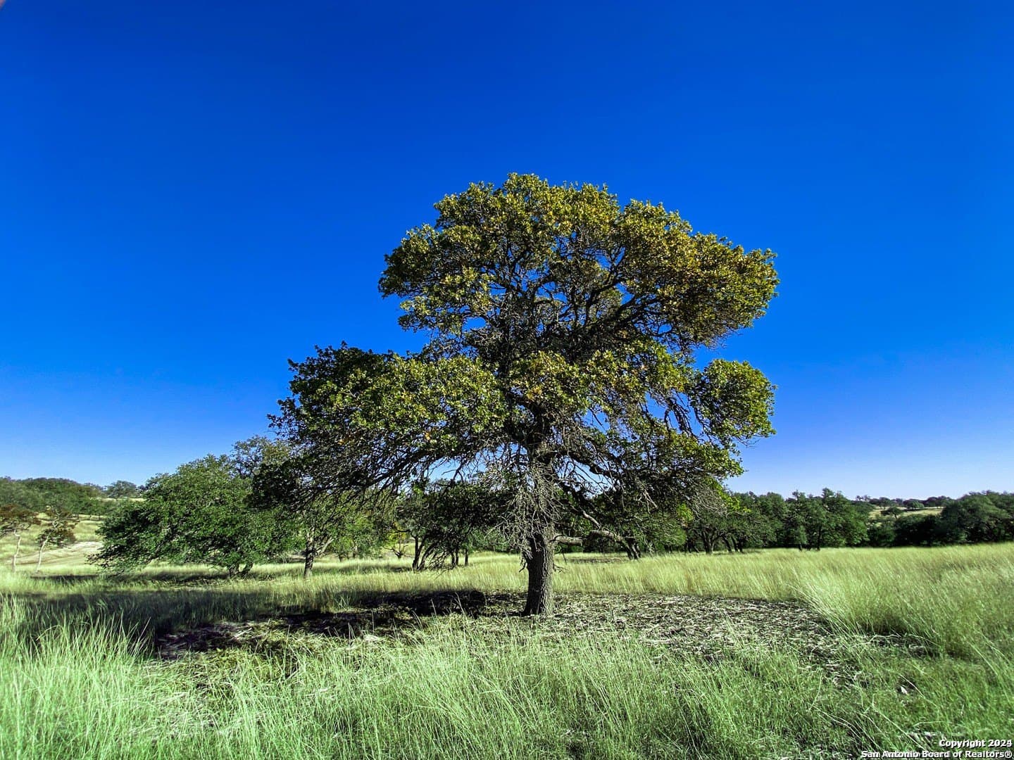4.08 acres in Gillespie County - photo 15