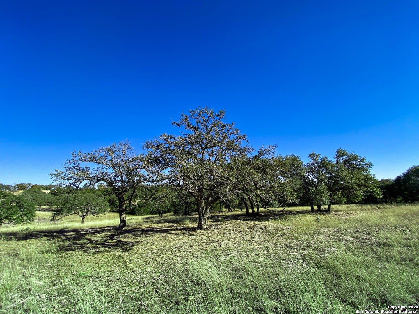 4.08 acres in Gillespie County - photo 10