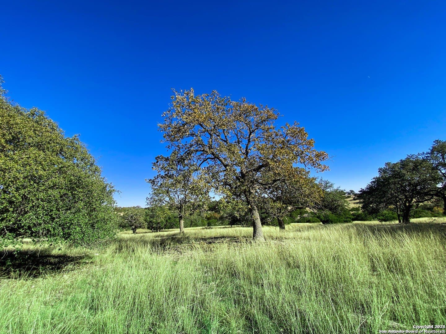 4.08 acres in Gillespie County gallery image 4