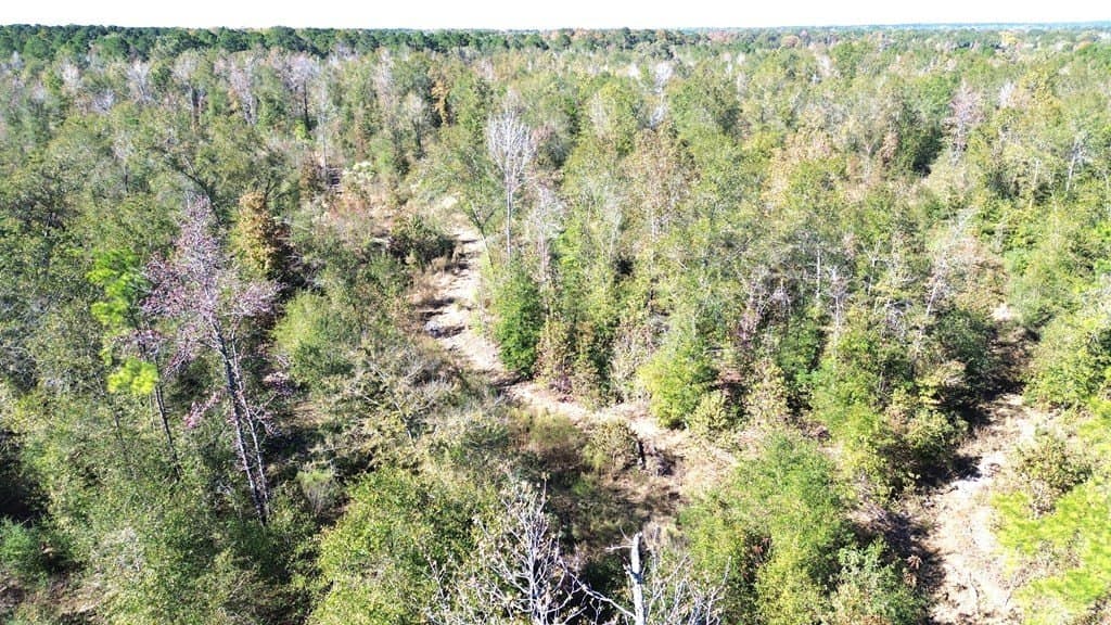 41.2 acres in Texas County - photo 13