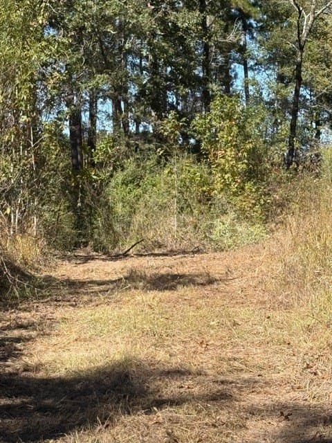 41.2 acres in Texas County - photo 21