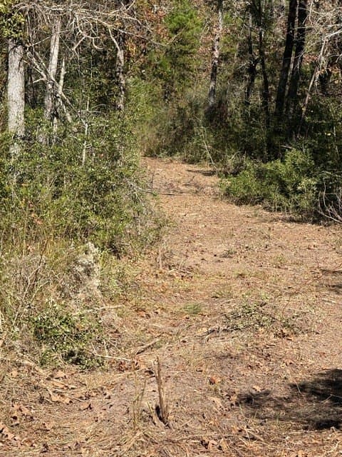 41.2 acres in Texas County - photo 22