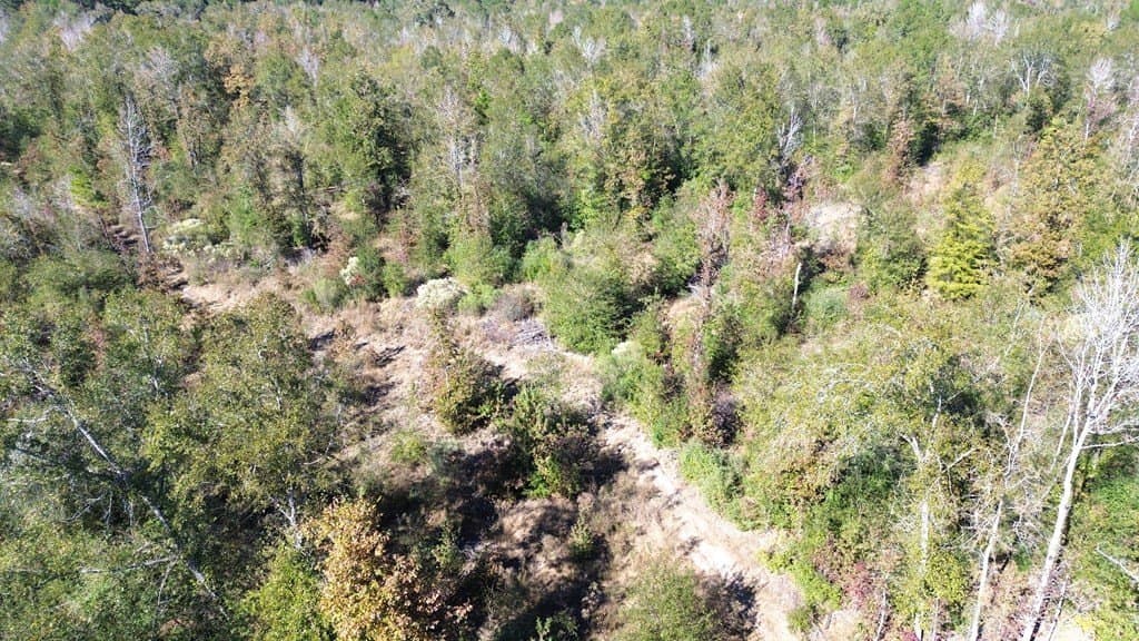 41.2 acres in Texas County - photo 15