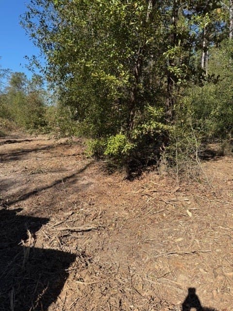 41.2 acres in Texas County - photo 25
