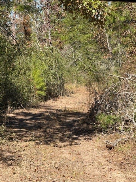 41.2 acres in Texas County - photo 23