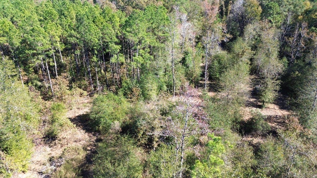 41.2 acres in Texas County - photo 16