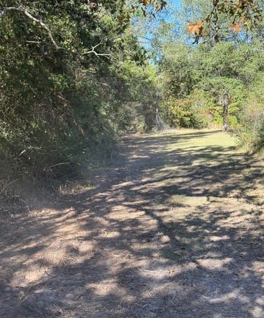41.2 acres in Texas County - photo 27