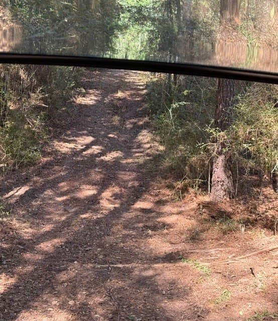 41.2 acres in Texas County - photo 18