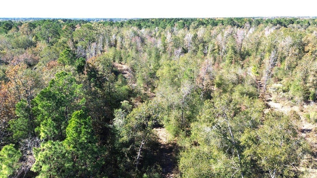 41.2 acres in Texas County - photo 14