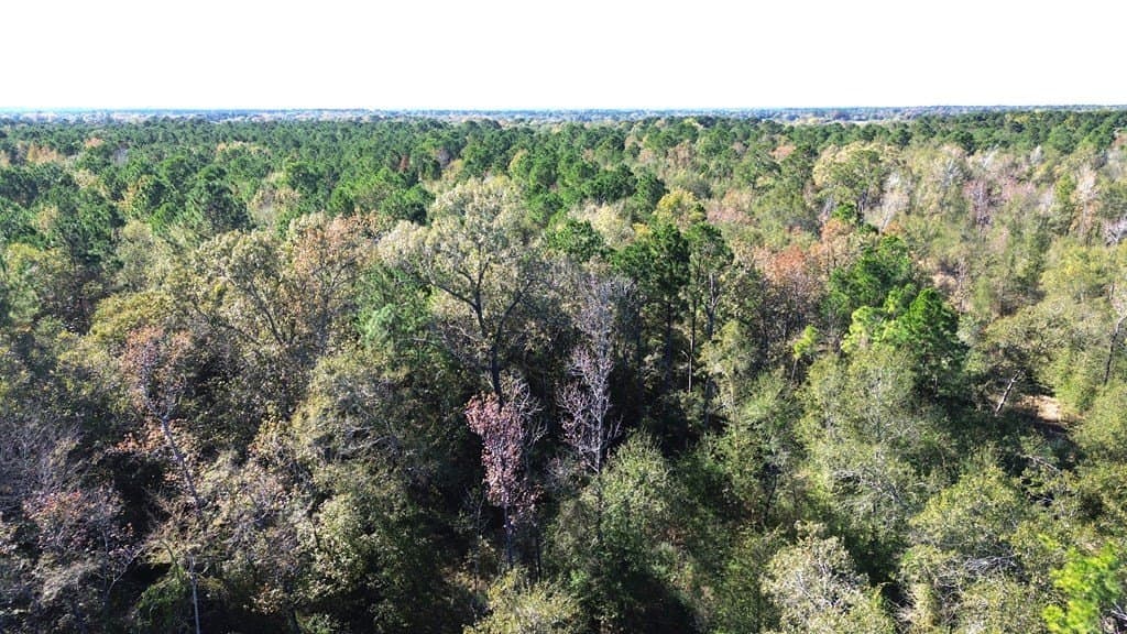 41.2 acres in Texas County - photo 6