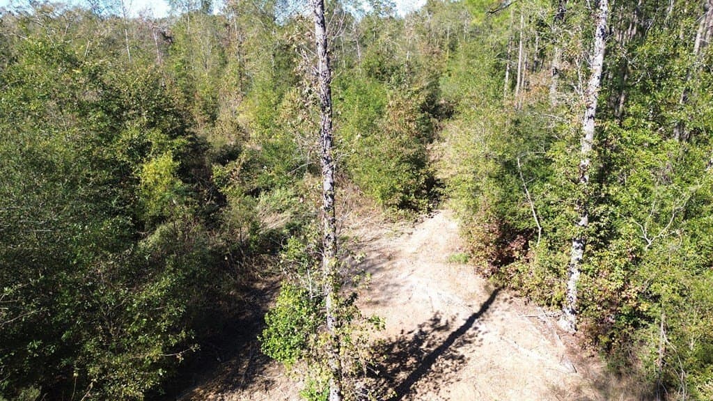 41.2 acres in Texas County - photo 10