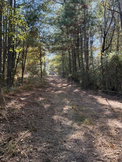41.2 acres in Texas County - photo 20