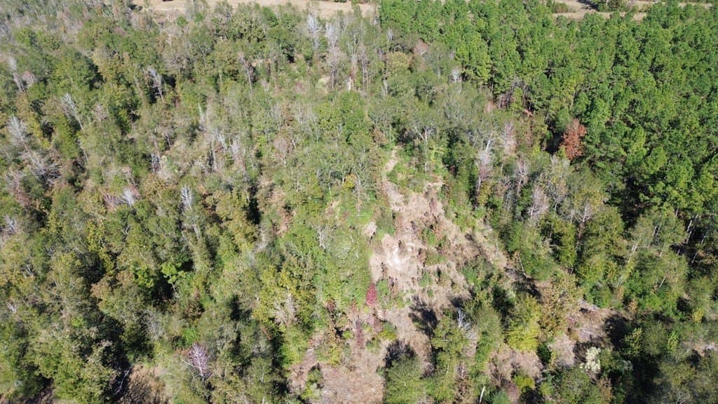 41.2 acres in Texas County - photo 9