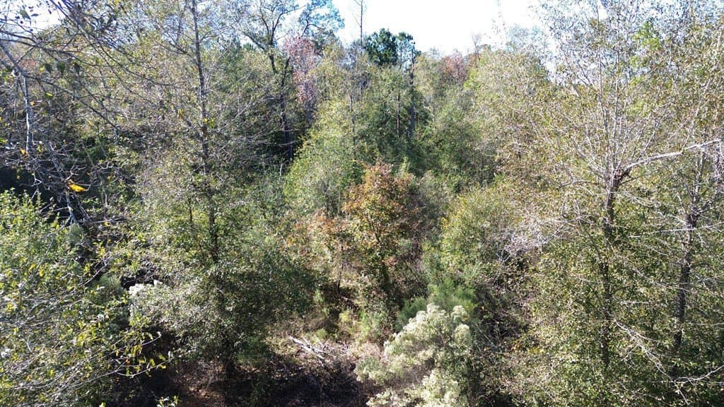 41.2 acres in Texas County - photo 17