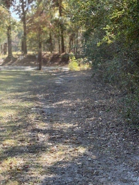 41.2 acres in Texas County - photo 29