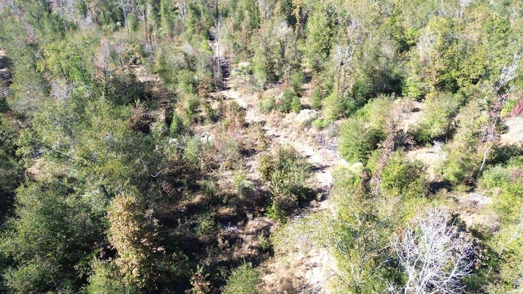 41.2 acres in Texas County - photo 7