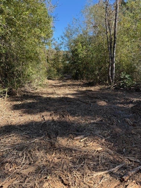 41.2 acres in Texas County - photo 24