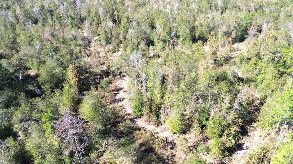 41.2 acres in Texas County - photo 12