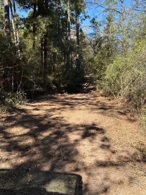 41.2 acres in Texas County - photo 19