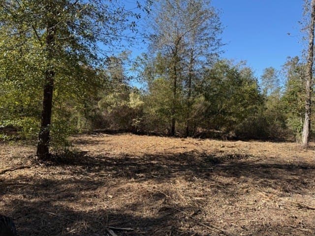 41.2 acres in Texas County - photo 26