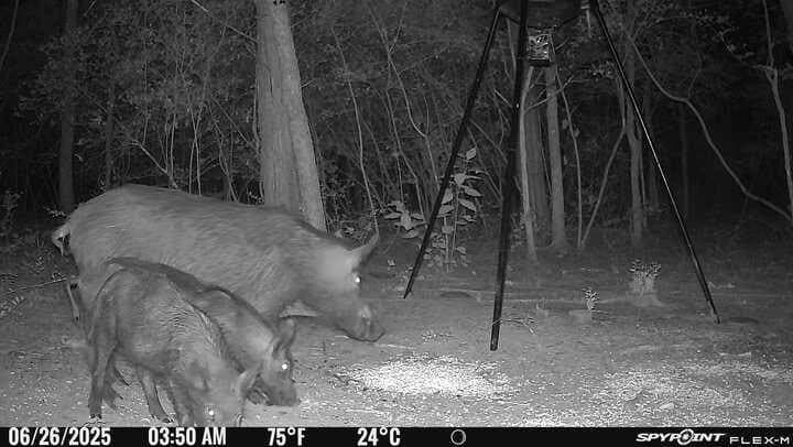 18.78 acres in Freestone County - photo 6