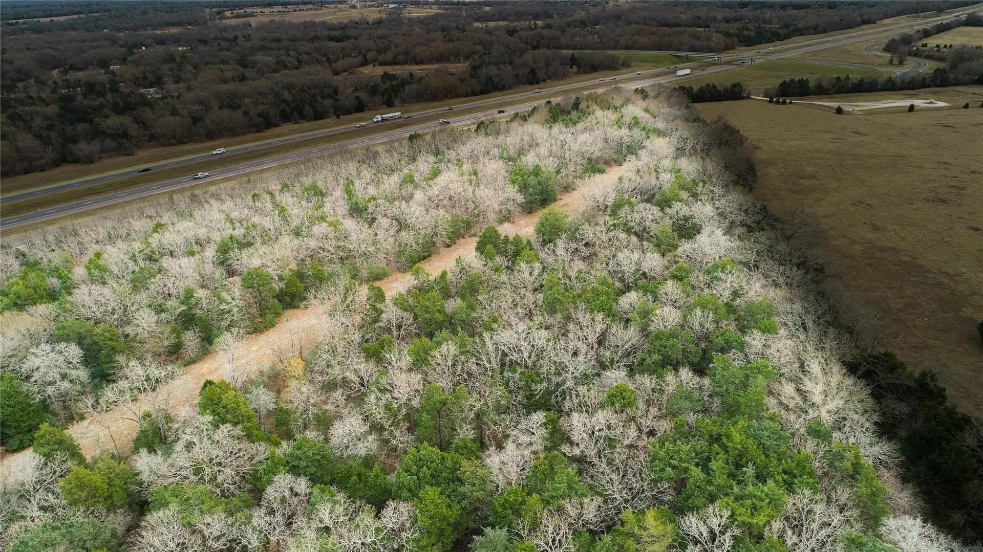 18.78 acres in Freestone County - photo 4