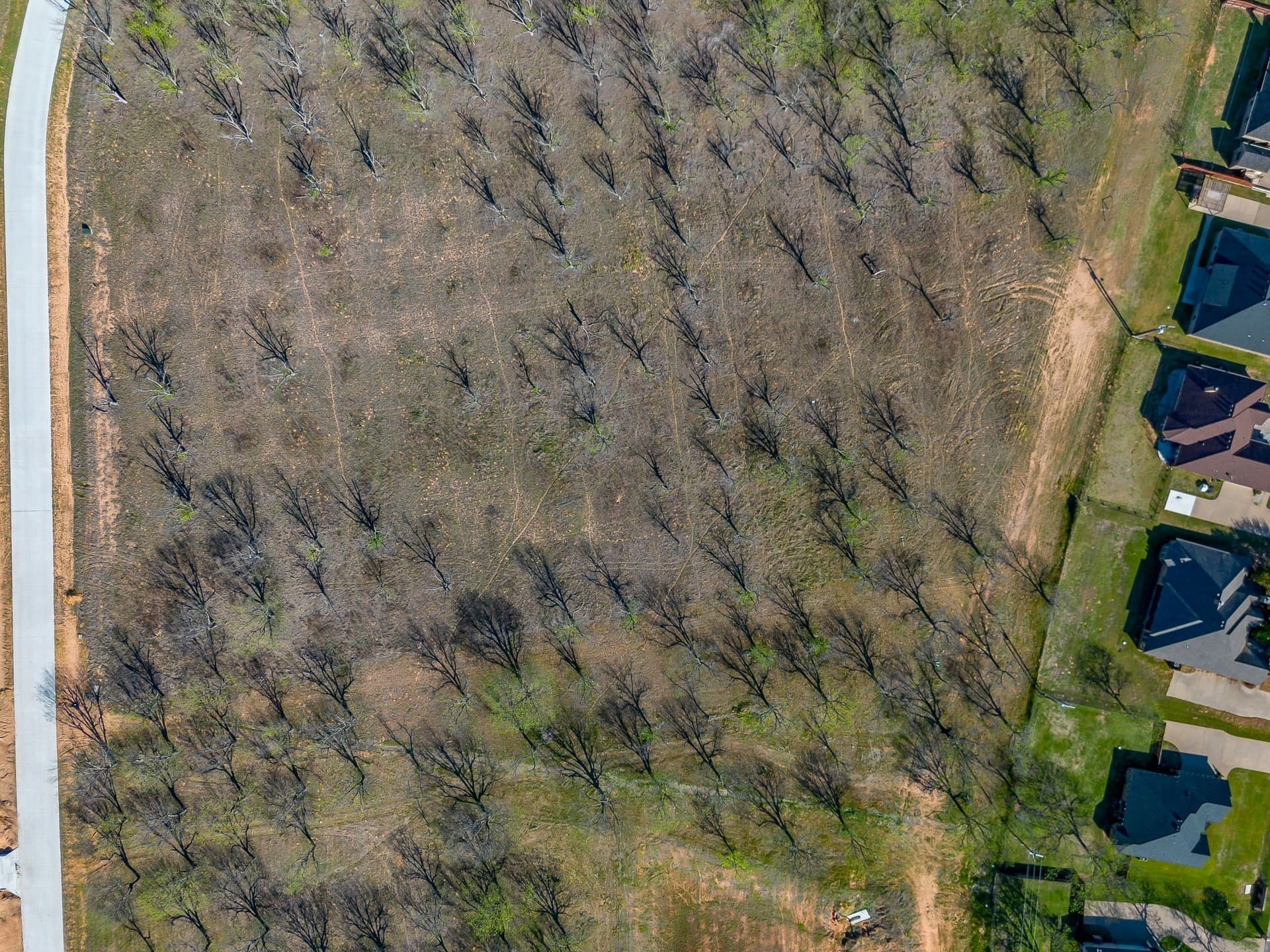 4.12 acres in Hood County - photo 11