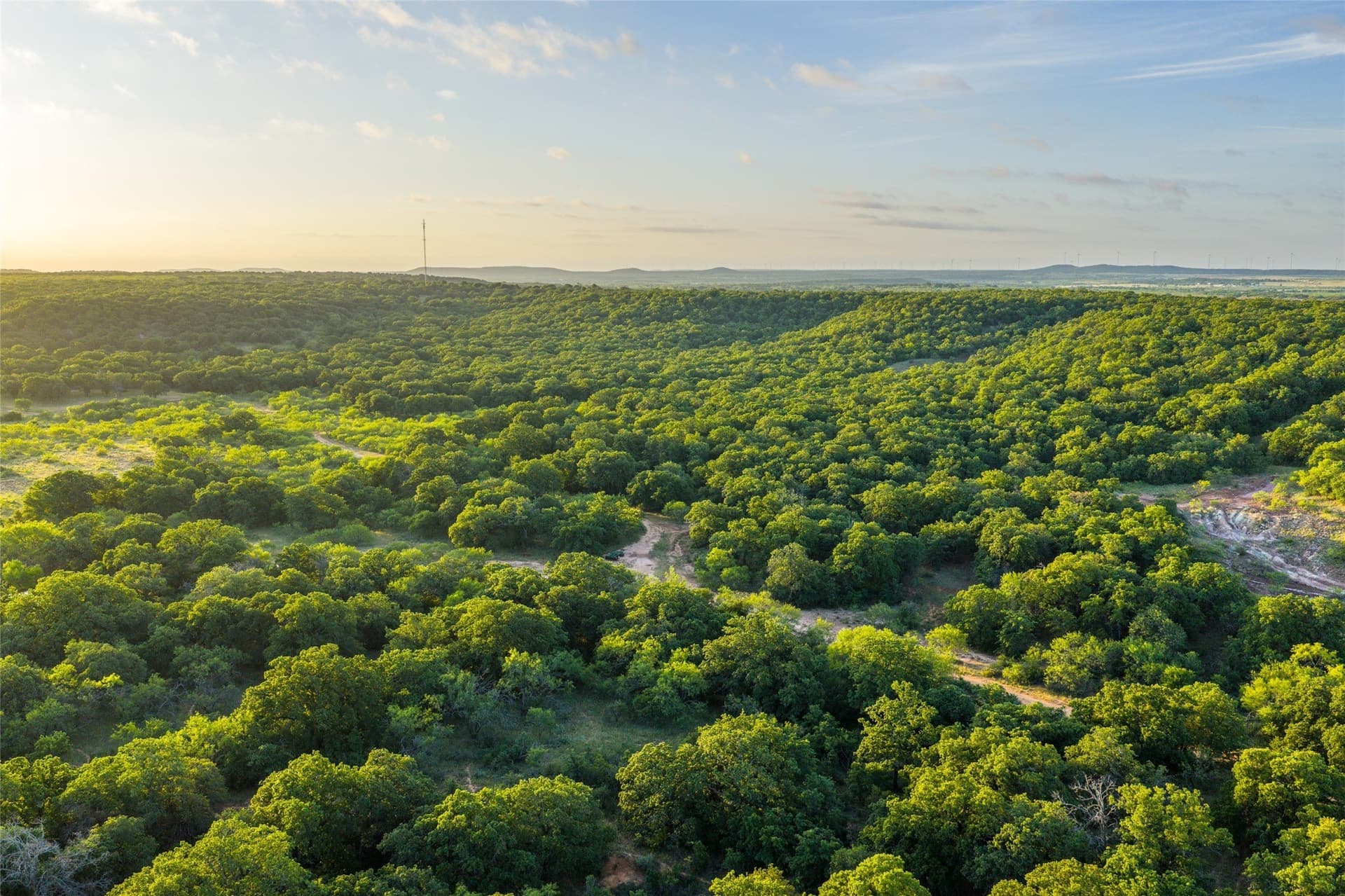 314.39 acres in Young County - photo 31