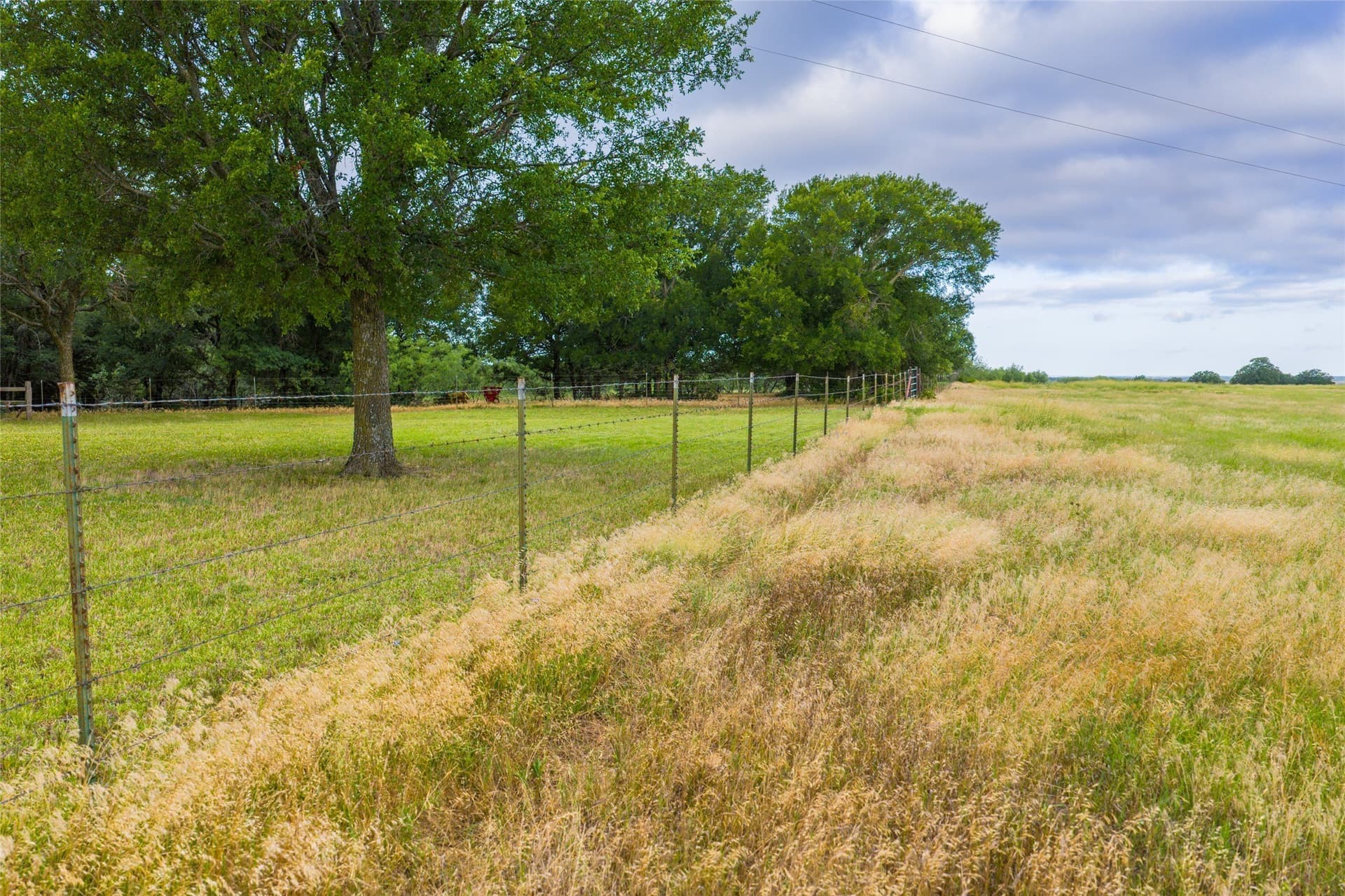 314.39 acres in Young County - photo 37