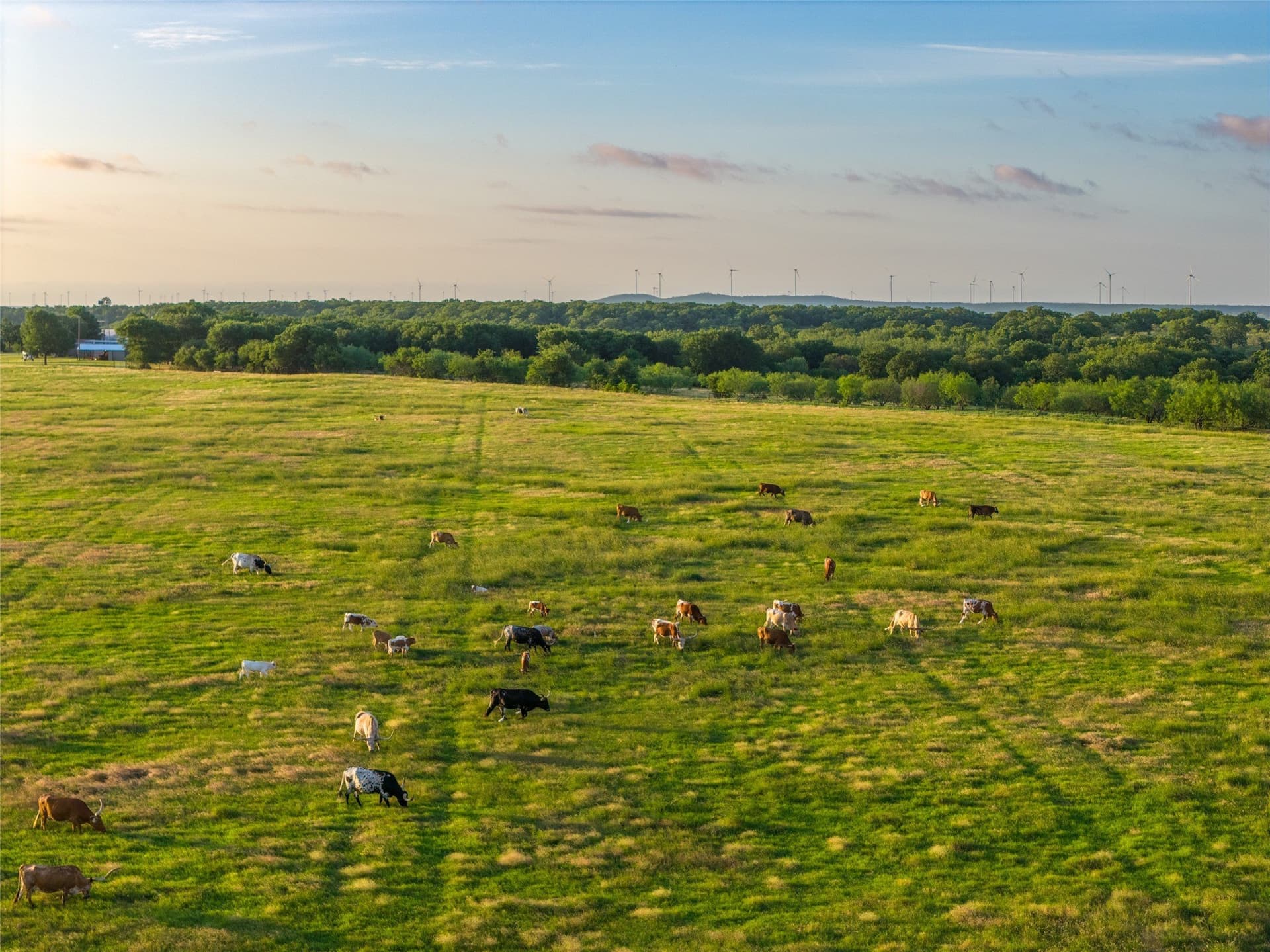 314.39 acres in Young County - photo 2