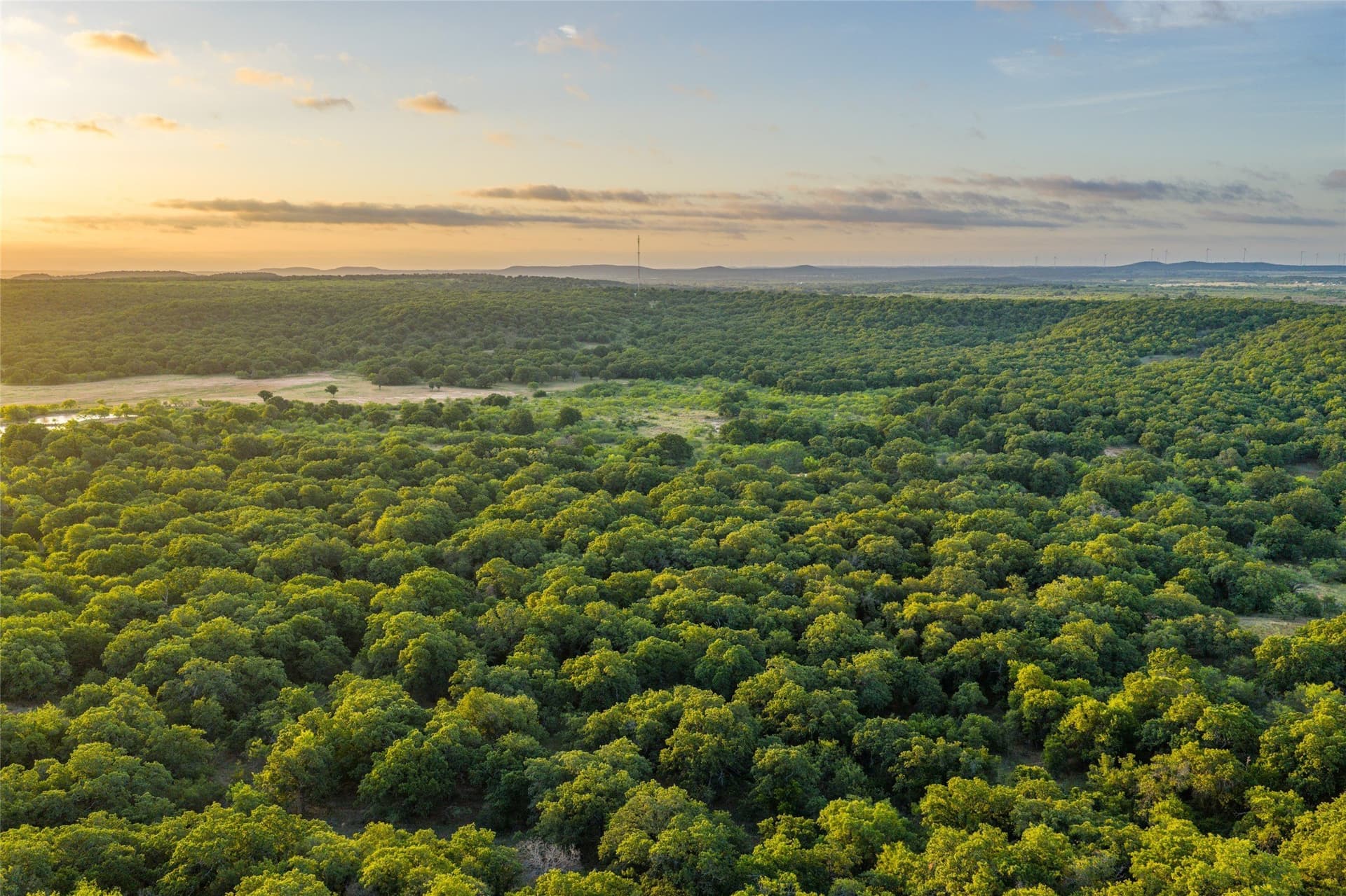 314.39 acres in Young County - photo 35