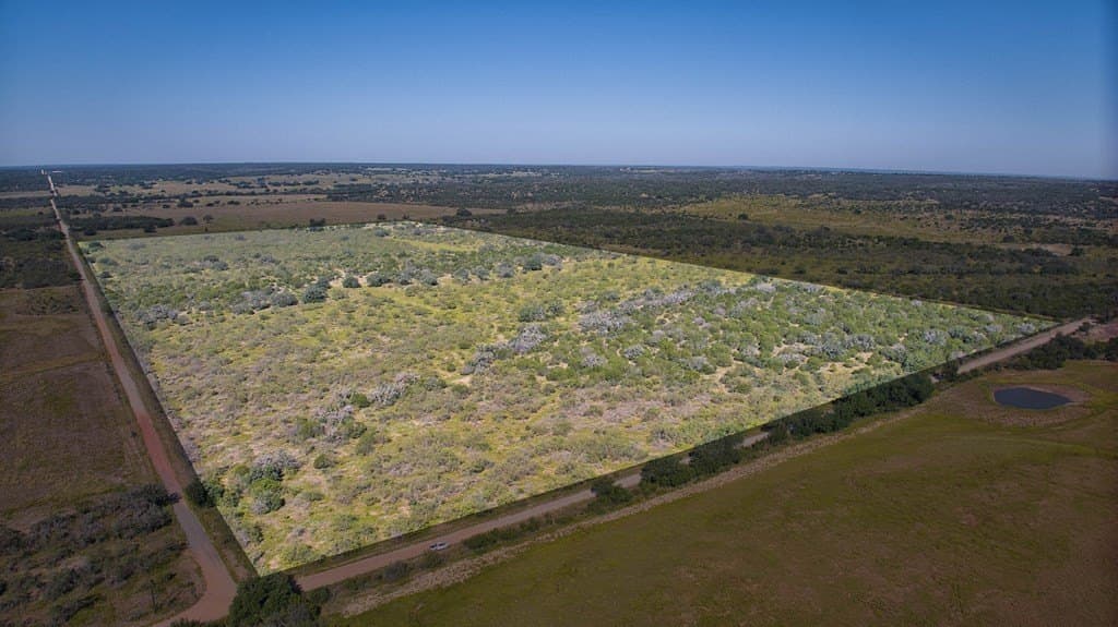 136.24 acres in Mason County gallery image 2