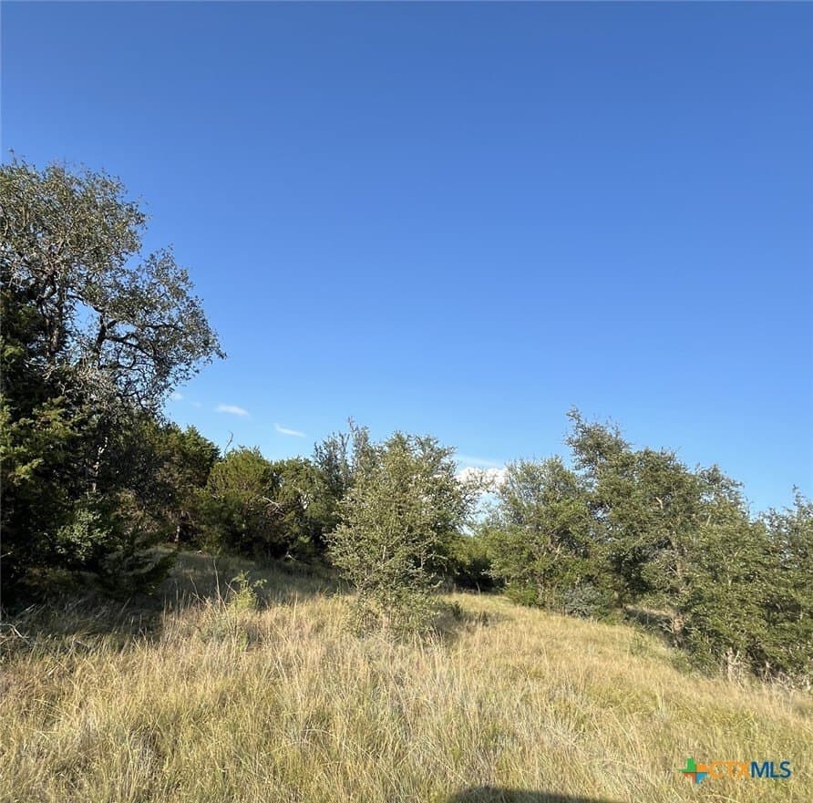 20.85 acres in Mills County gallery image 4