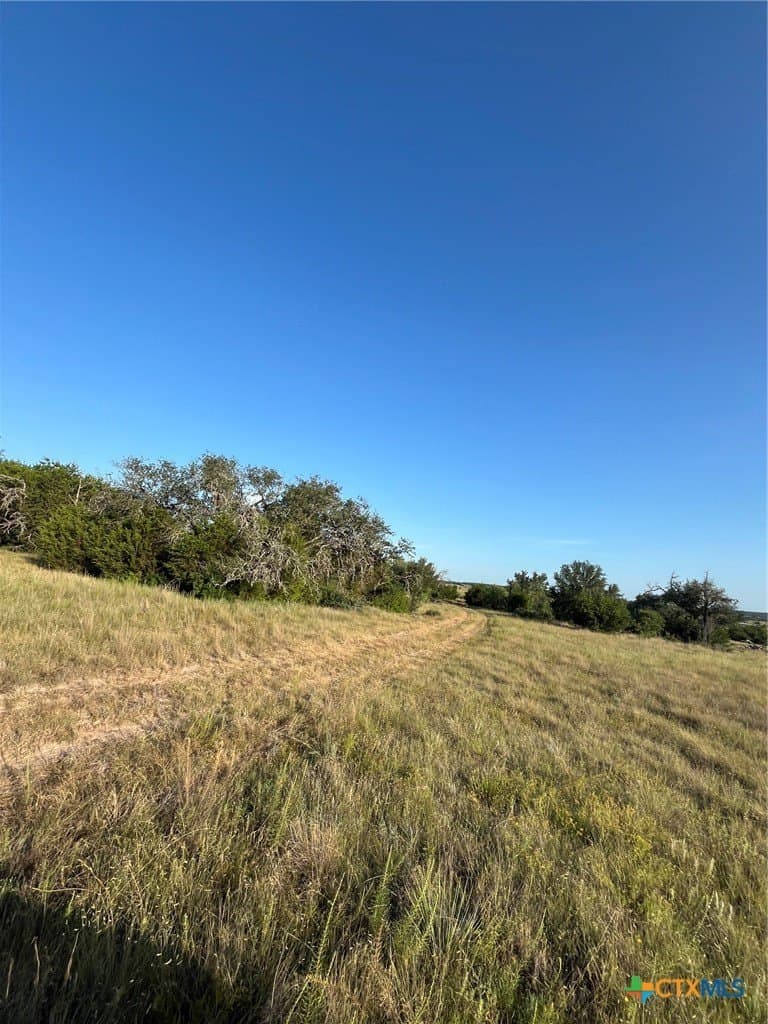 20.85 acres in Mills County gallery image 3