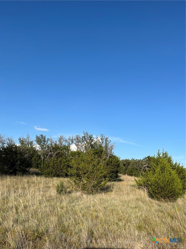 20.85 acres in Mills County gallery image 2