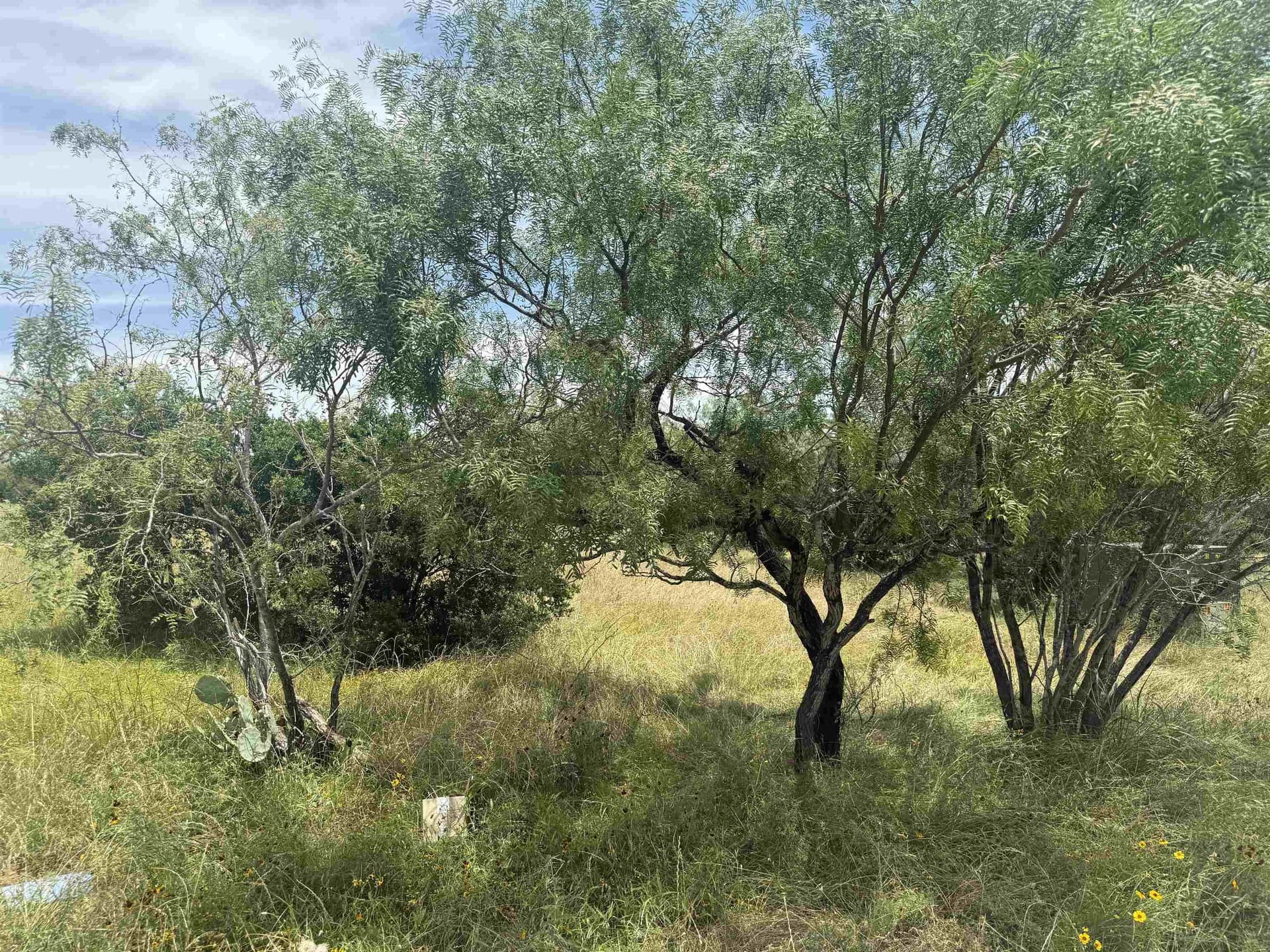 0.12 acres in Llano County gallery image 4
