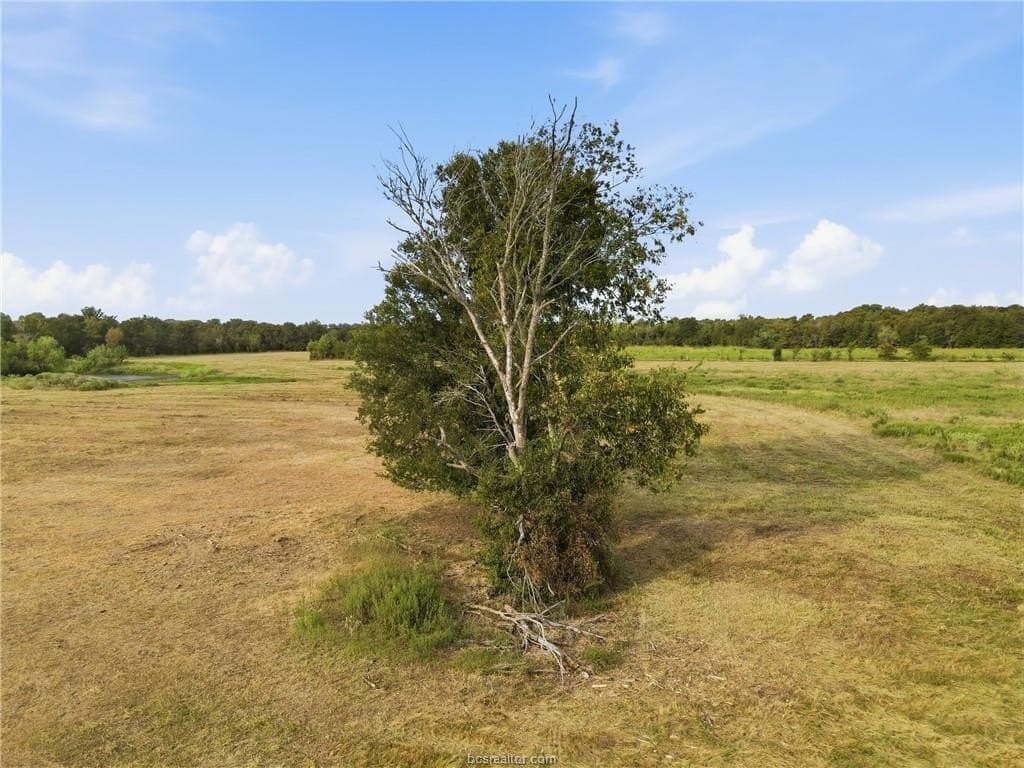 86.06 acres in Brazos County - photo 10