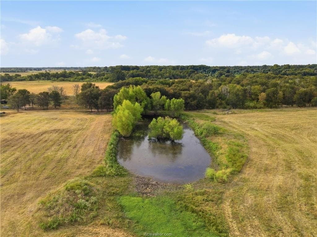 86.06 acres in Brazos County - photo 13