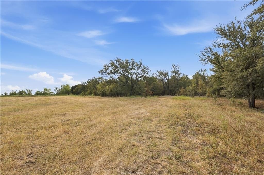 86.06 acres in Brazos County - photo 5