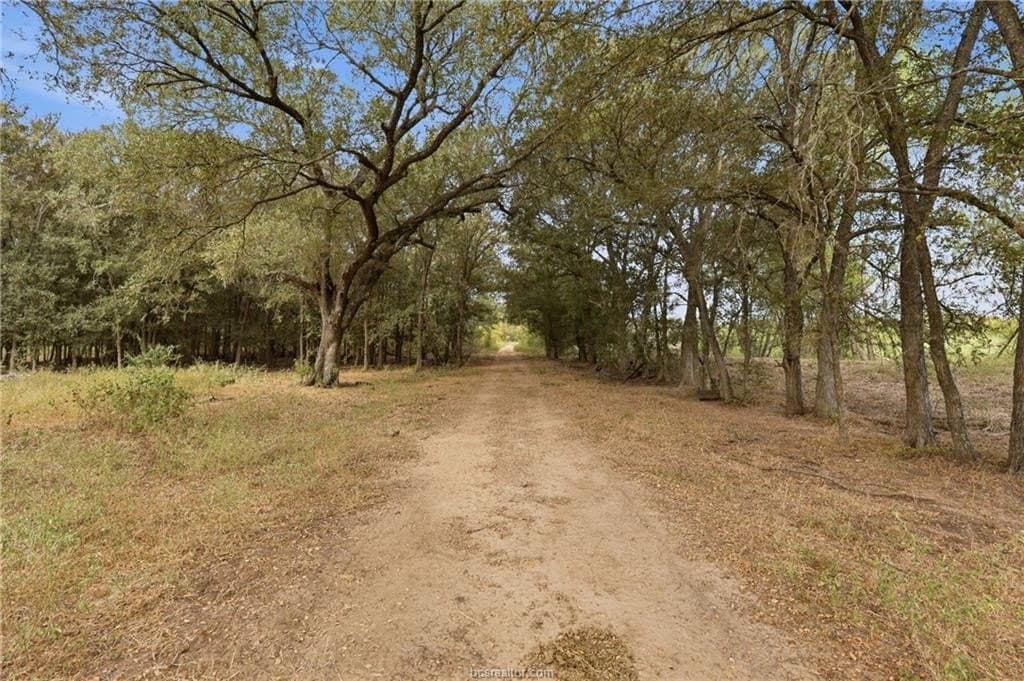 86.06 acres in Brazos County - photo 22