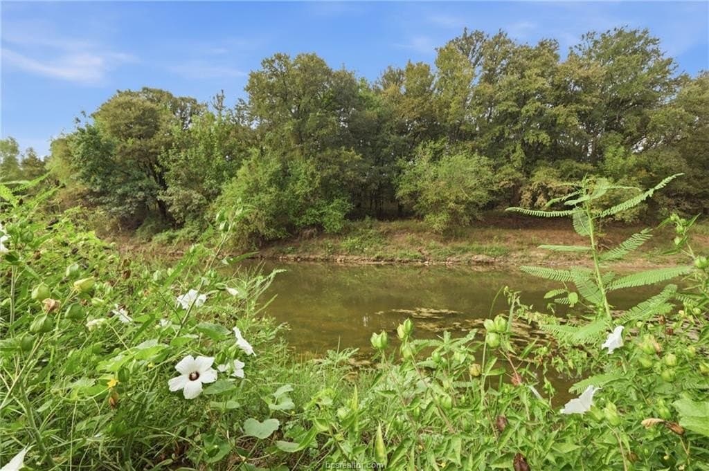 86.06 acres in Brazos County - photo 7