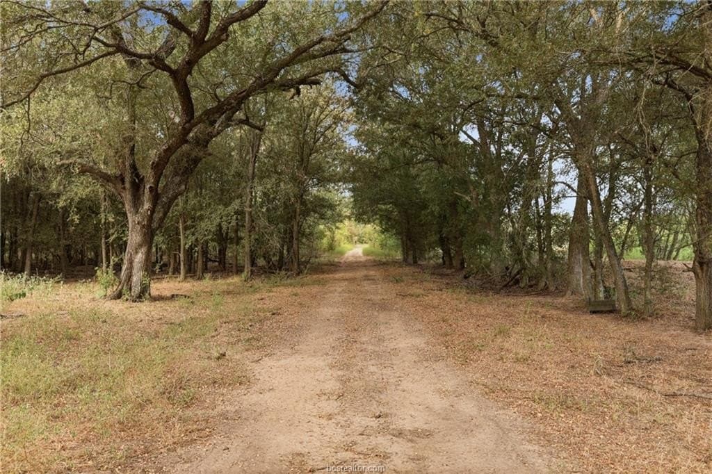 86.06 acres in Brazos County - photo 21